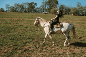 Horseback Ride + Self Discovery Coaching