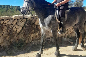 O outro lado de Ibiza (nordeste): cidades brancas, área rural, feiras e arte