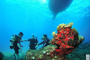 Ibiza : initiation à la plongée sous-marine et snorkeling