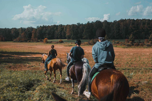 Romantic Ibiza Sunset Horseback Ride & Picnic