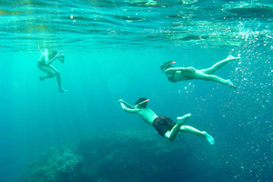Snorkeling in Guided tour of sea caves and crystal-clear waters.