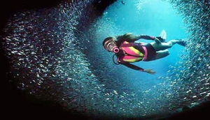 Diving in Beautiful Ibiza