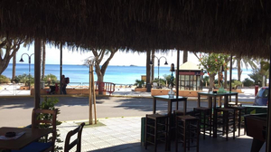 Coolture Café Ibiza