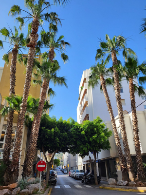 Coordenadas Ibiza