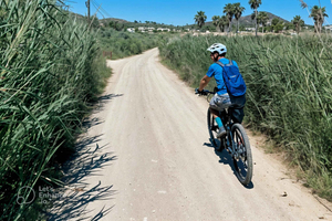 Ibiza E-Bike Tour: Ibiza risteilyterminaalista käsin