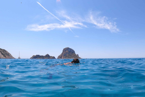 Ibiza: Es Vedrà Bootstour mit Badestopp