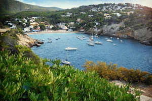 Ibiza: Maa- ja meriseikkailu BUGGY + PADDLE SURF