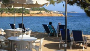 Mango's Beach Bar