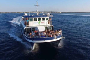 Playa d'en Bossa/Figueretes: traghetto di andata e ritorno per Formentera