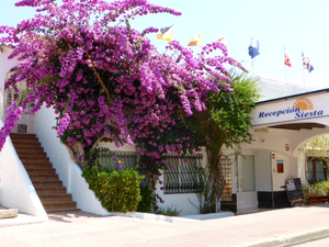 Siesta Mar Ibiza Apartamentos