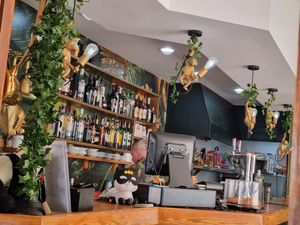 The Jungle Bar