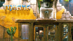 Tijuana Tex Mex