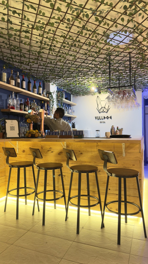 Vulldog Ibiza