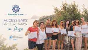 Curso Oficial de Treinamento em Barras Access de 1 Dia
