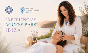 Experimente uma Sessão Privada de Access Bars