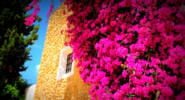 My Destination Videos 