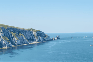 From Brighton: Isle of Wight Full-Day Trip via Portsmouth