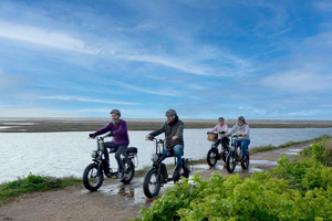New Forest Full-Day E-Bike Rental