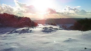 Dreaming of a Wight Christmas?