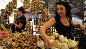The Garlic Festival