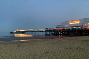 Nature Walks and Wildlife Spotting: Discover the Isle of Wight's Fauna and Flora