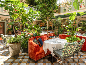 The Ivy Chichester