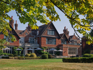 THE NICI New Forest
