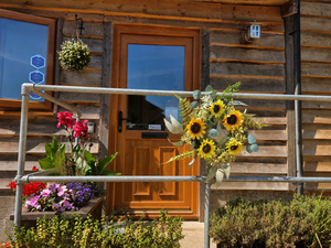 The Wellness Barn