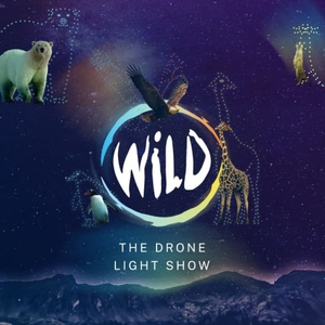 WILD: The Drone Light Show - Southampton
