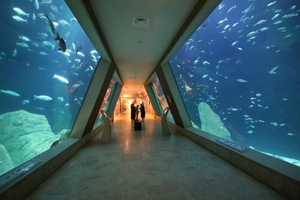 Aquarium Ticket and Round Trip Shuttle from Taksim