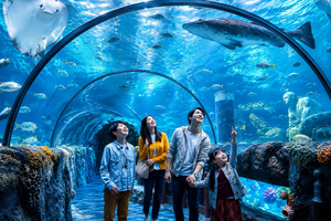 Aquarium Tour with Hotel Transfer