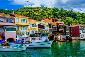 Asian Side Tour with Camlica Mosque & Village