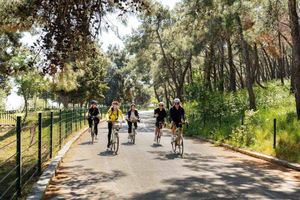 Tour en bicicleta por las Islas Príncipe de Estambul: una escapada relajante