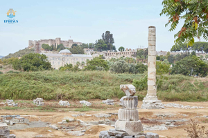 Desde Estambul: Tour privado de 2 días por Pamukkale y Éfeso