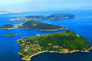 Från Istanbul: Princes Island-tur med 2 öar