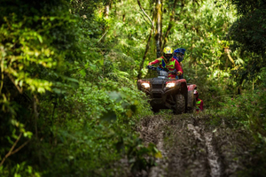 Istanbul: Belgrad Forest ATV Tour with Ziplining Option