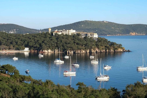 Bootstour zu den Inseln von Istanbul mit Freizeit und optionalem Mittagessen