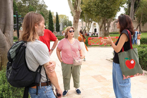 Istanbul: Topkapi Palace and Harem Museum Tour with Ticket