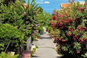 Princes' Islands Boat Tour with Lunch & Free Time