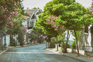 Princess Islands Day Trip w Hotel Transfer & Lunch