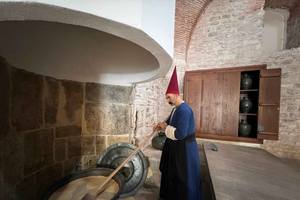 Tour privado guiado por Topkapi y el harén, sin colas, con todas las entradas incluidas