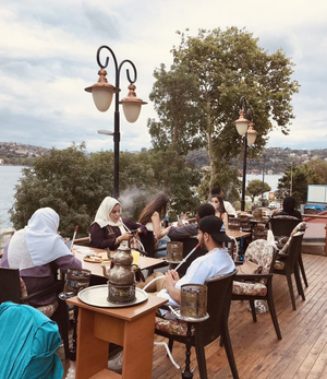 Hisar Cay Bahcesi