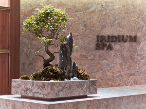 Iridium Spa