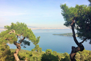 イスタンブール：プリンセス諸島への日帰り旅行
