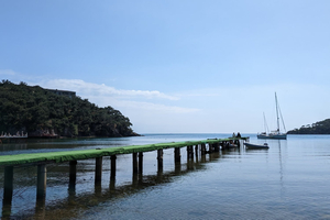 Nirvana Beach Club&Cafe