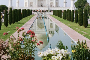 4-Day Premium Golden Triangle Journey with 5★ Hotels & Guide