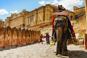 Jaipur: Amber Fort, Stepwell & Jal Mahal with Pickup