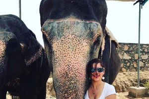 Jaipur: Elephant Riding, Painting, Feeding & More in Village