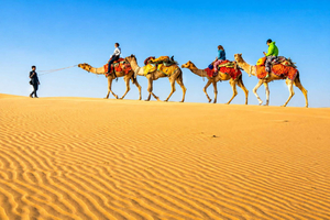 Monipäiväinen matka Jaipuriin, Jodhpuriin tai Jaisalmeriin ja safari
