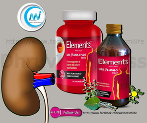 Elements wellness store